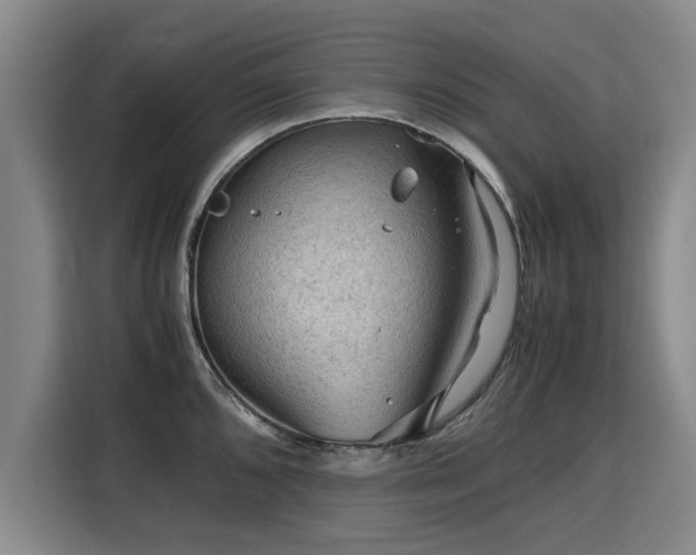 X0000115801096200911201353
