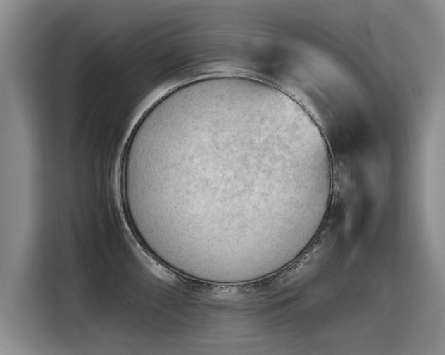X0000115801098200911201353