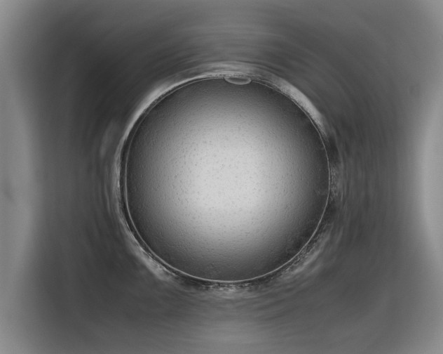 X0000115801099200911201353