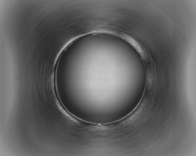 X0000115801100200911201353