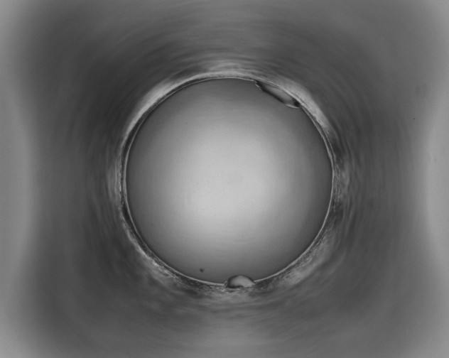 X0000115801101200911201353