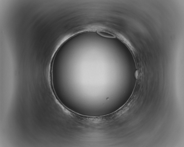 X0000115801103200911201353