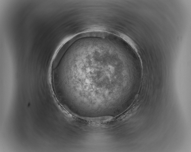 X0000115801104200911201353