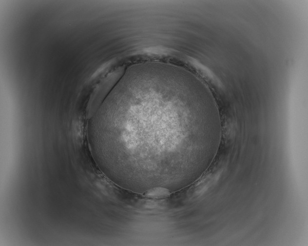 X0000115801110200911201352