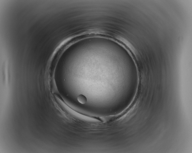 X0000115801115200911201352