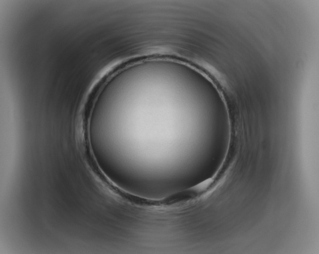 X0000115801118200911201352