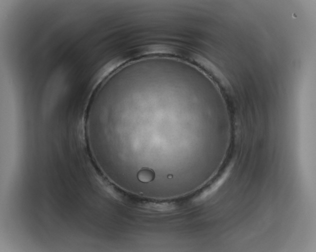 X0000115801121200911201352