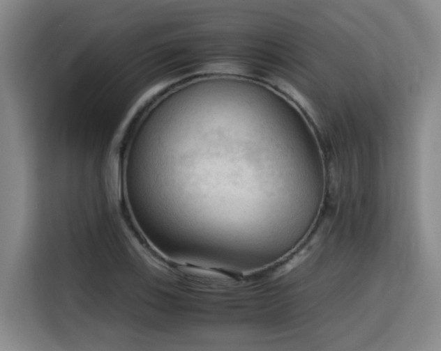 X0000115801123200911201352