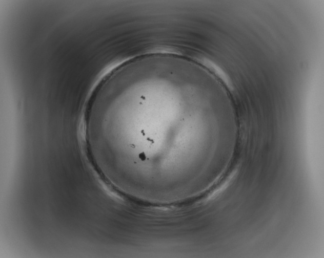 X0000115801125200911201352