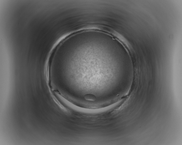 X0000115801127200911201352