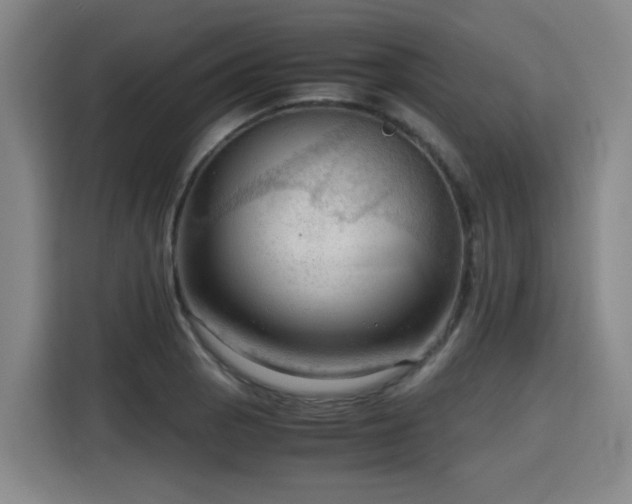 X0000115801129200911201352