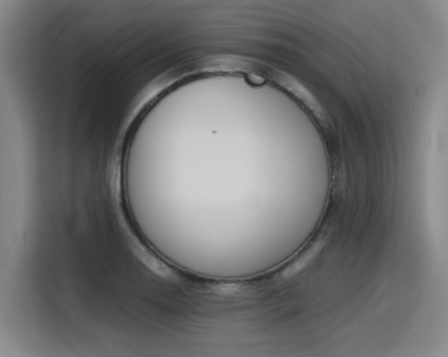 X0000115801130200911201352