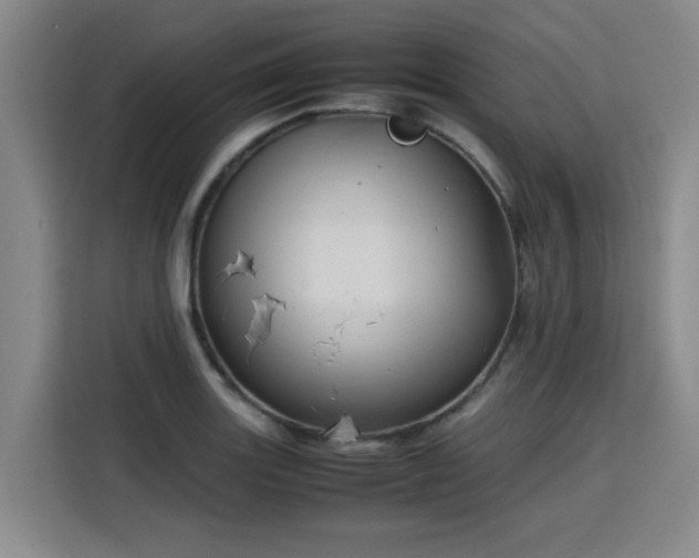 X0000115801131200911201352