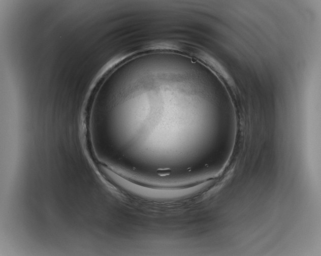 X0000115801133200911201352