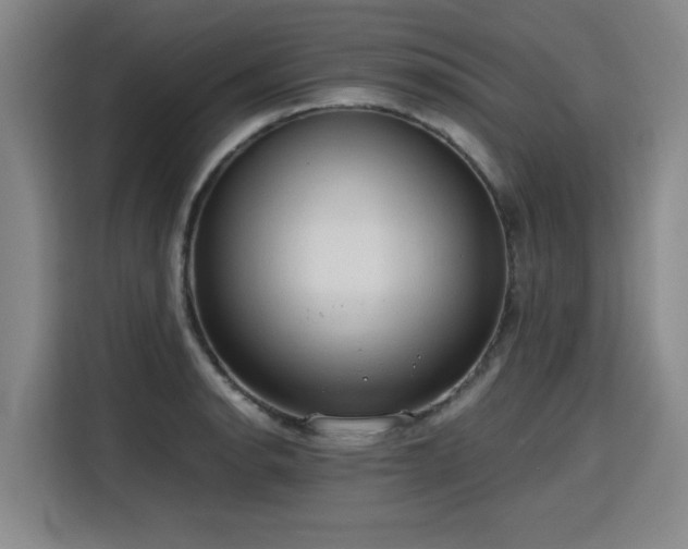 X0000115801134200911201352