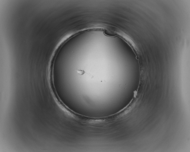 X0000115801135200911201352