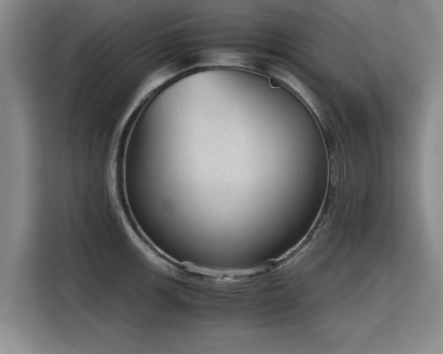 X0000115801139200911201352