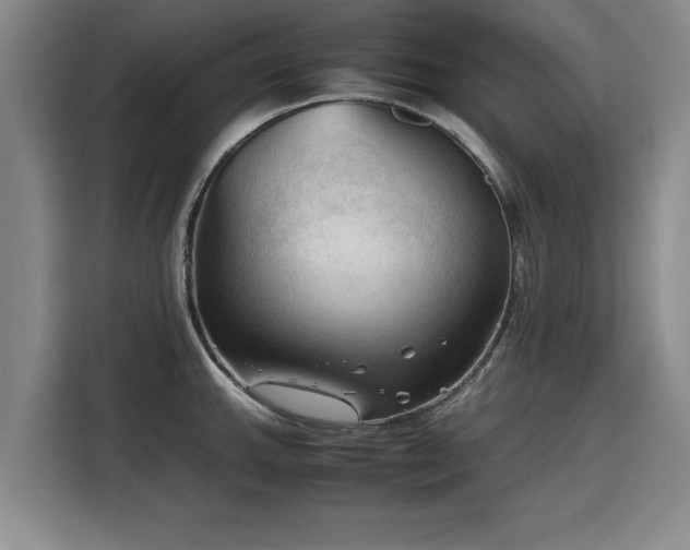 X0000115801143200911201352