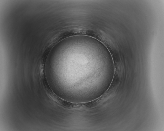 X0000115801154200911201352