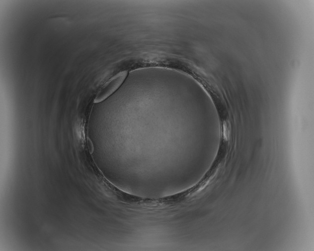 X0000115801155200911201352