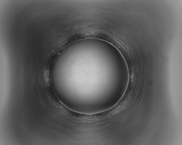 X0000115801156200911201352