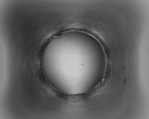 X0000115801159200911201352