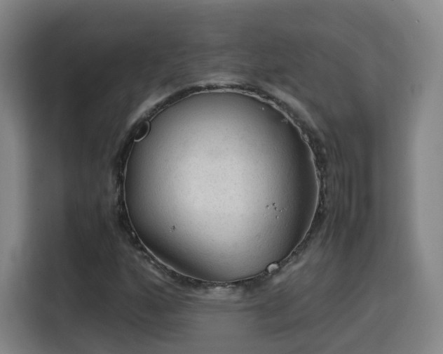 X0000115801160200911201352