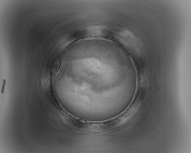 X0000115801161200911201352