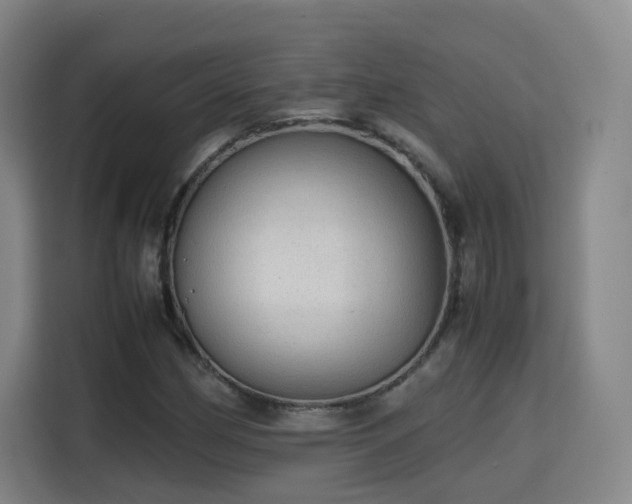 X0000115801162200911201352