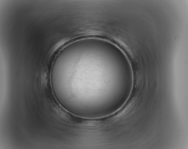 X0000115801163200911201352