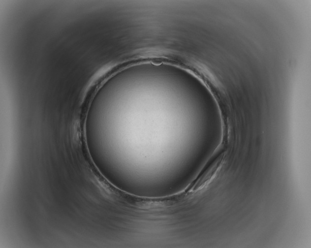 X0000115801164200911201352
