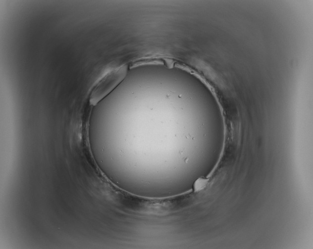 X0000115801165200911201352