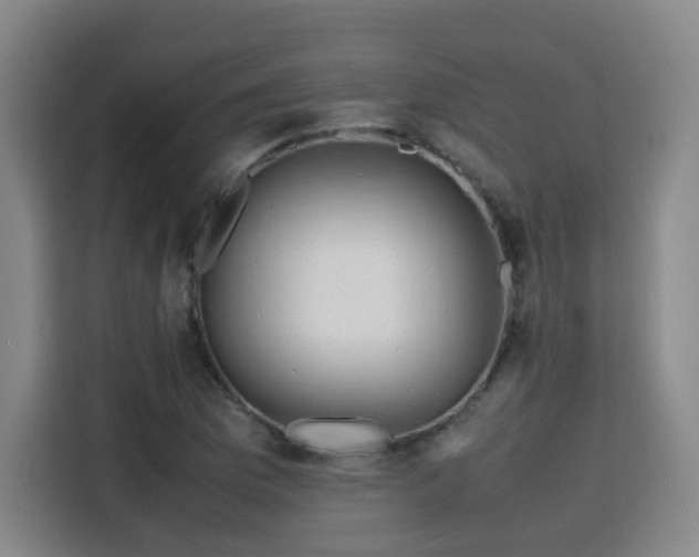 X0000115801169200911201352