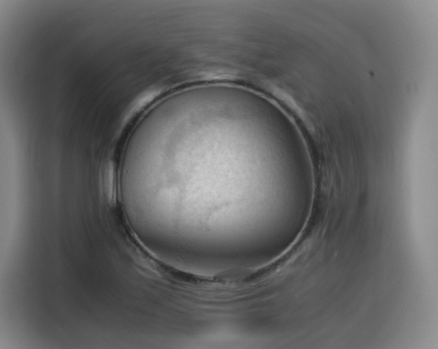 X0000115801171200911201352