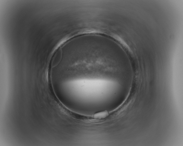 X0000115801173200911201352