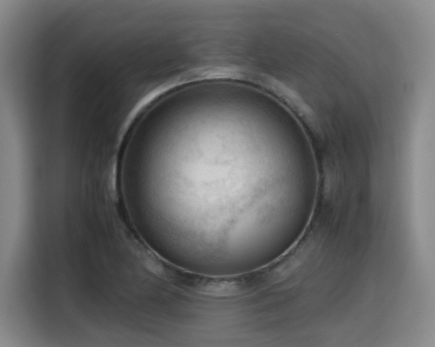X0000115801174200911201352