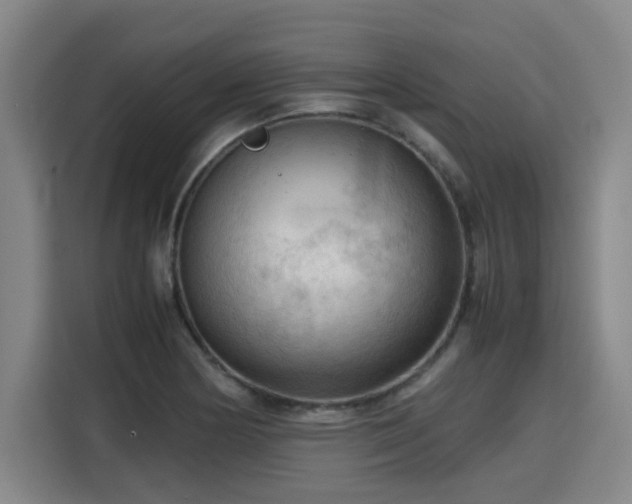 X0000115801178200911201352