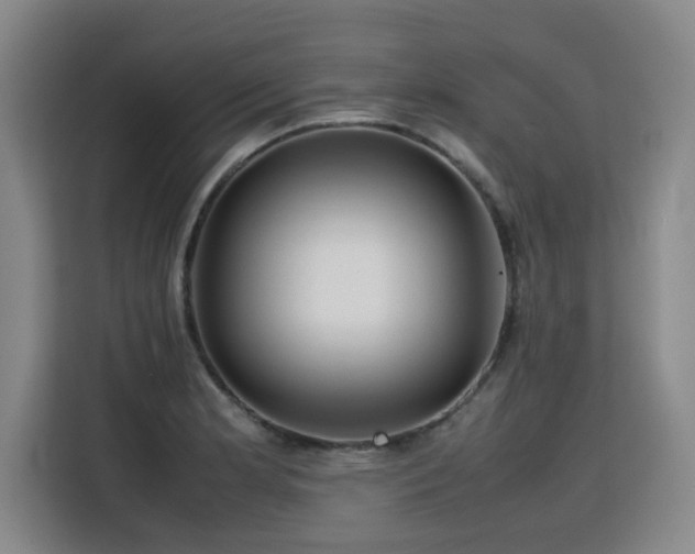 X0000115801181200911201352