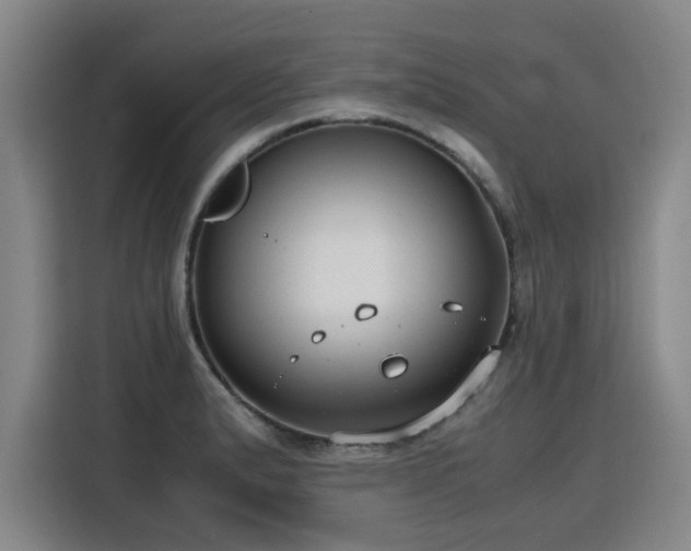 X0000115801183200911201352