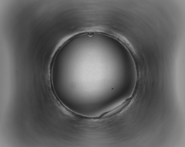 X0000115801184200911201352