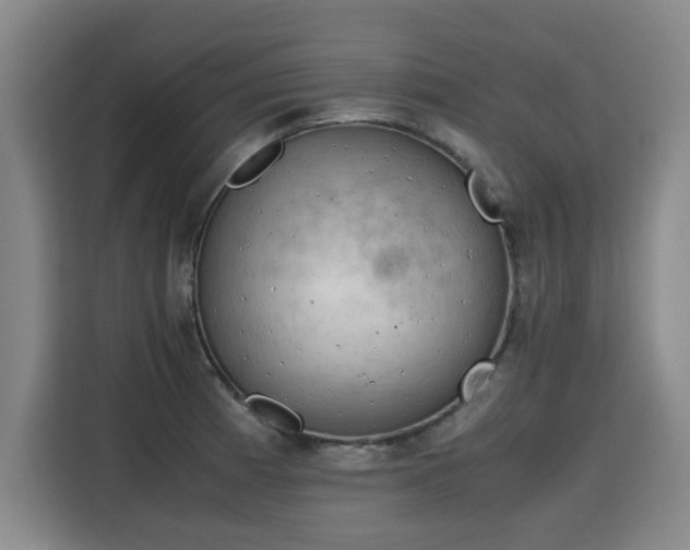 X0000115801185200911201352