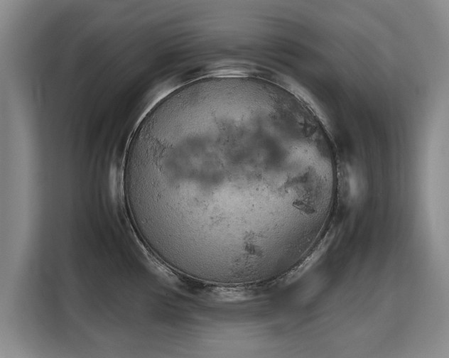 X0000115801194200911201351
