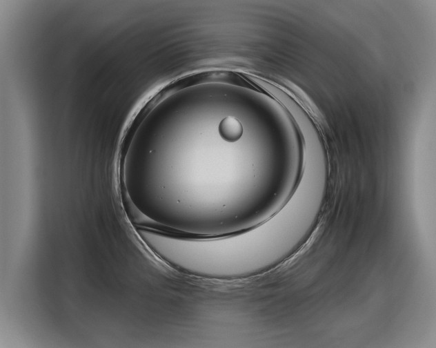 X0000115801196200911201351