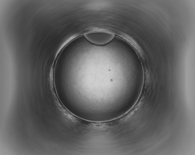 X0000115801198200911201351
