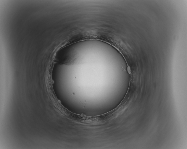 X0000115801201200911201351