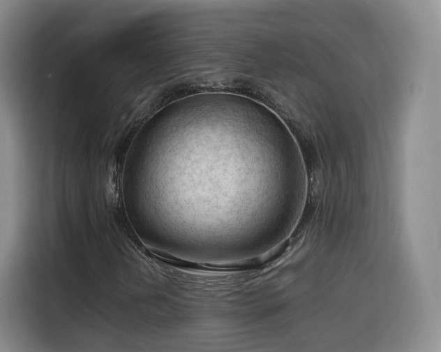 X0000115801202200911201351