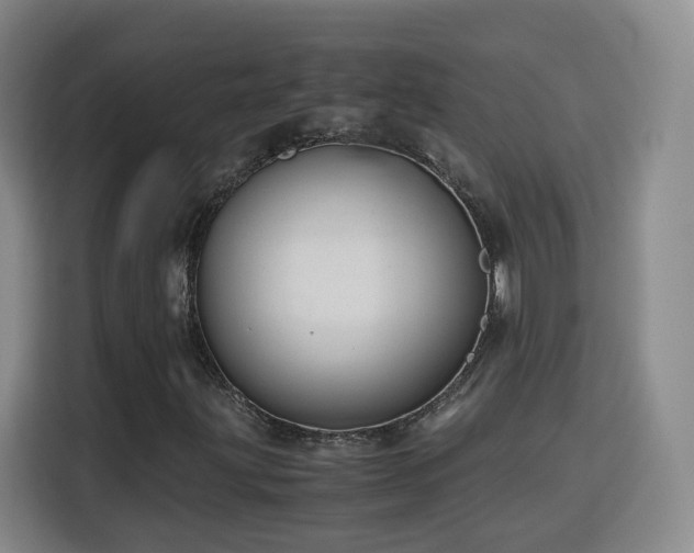 X0000115801203200911201351