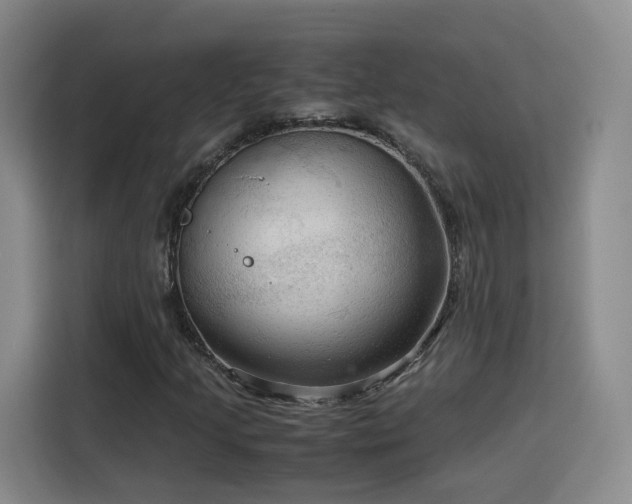 X0000115801205200911201351