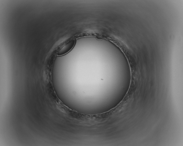 X0000115801207200911201351