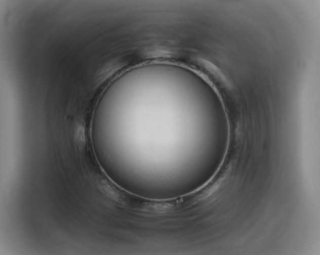 X0000115801209200911201351